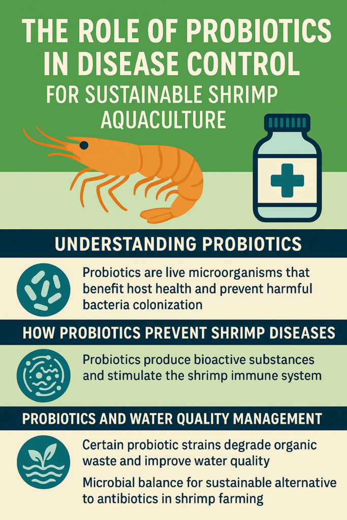 Shrimp aquaculture 