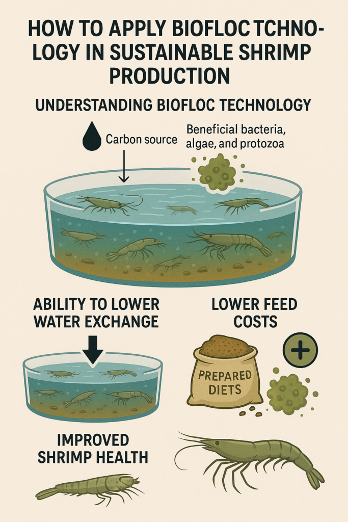 Biofloc Technology