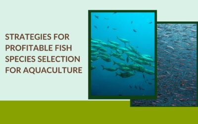 Strategies for Profitable Fish Species Selection for Aquaculture