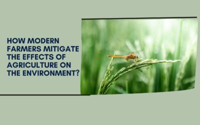 How Modern Farmers Mitigate the Effects of Agriculture on the Environment?