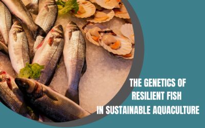 The Genetics of Resilient Fish in Sustainable Aquaculture